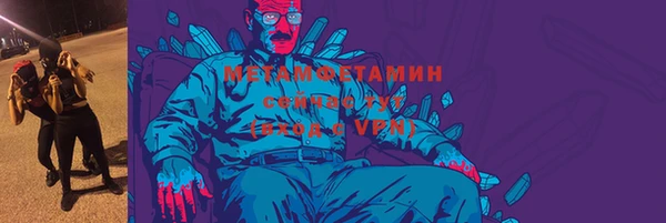гидра Арсеньев