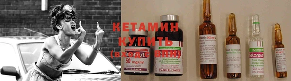 гидра Арсеньев
