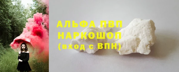 гидра Арсеньев