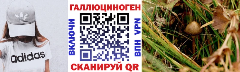 Галлюциногенные грибы Magic Shrooms Стрежевой